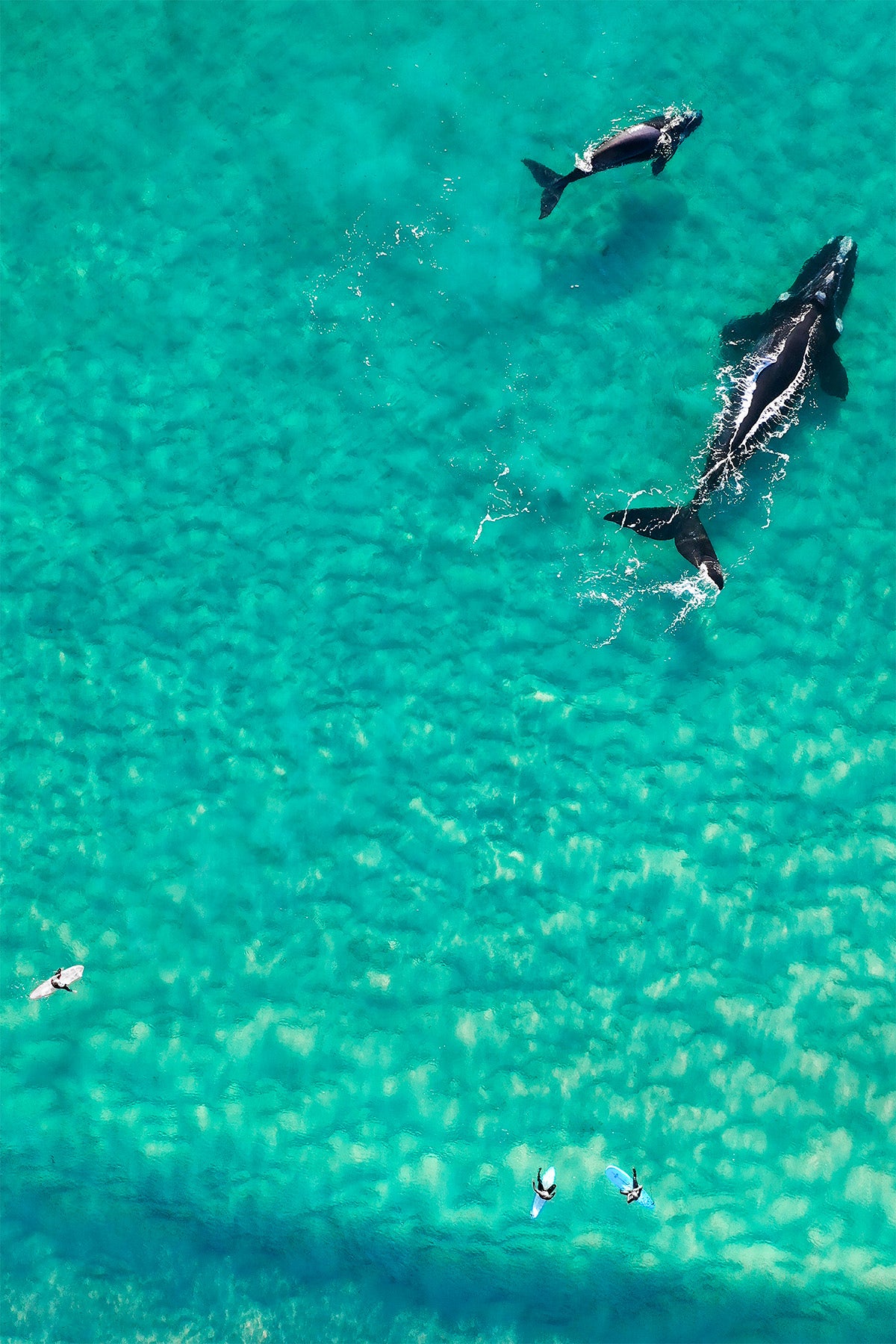Sharing The Ocean