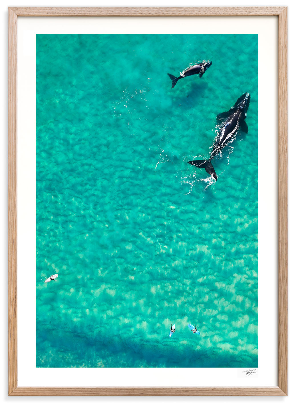 Sharing The Ocean
