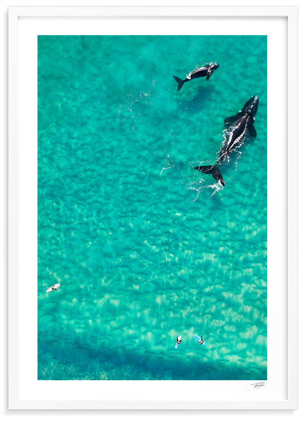 Sharing The Ocean